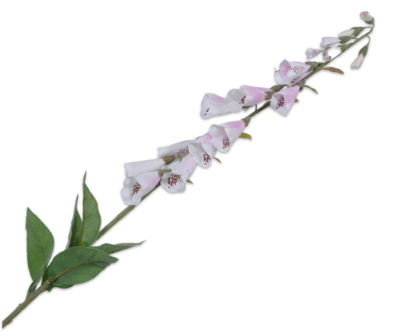 Digitalis Stem Pink