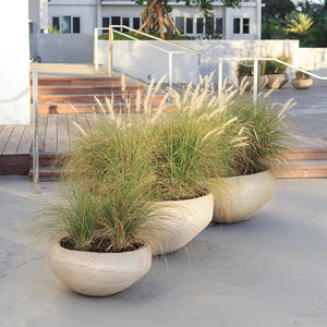 O Planter Series